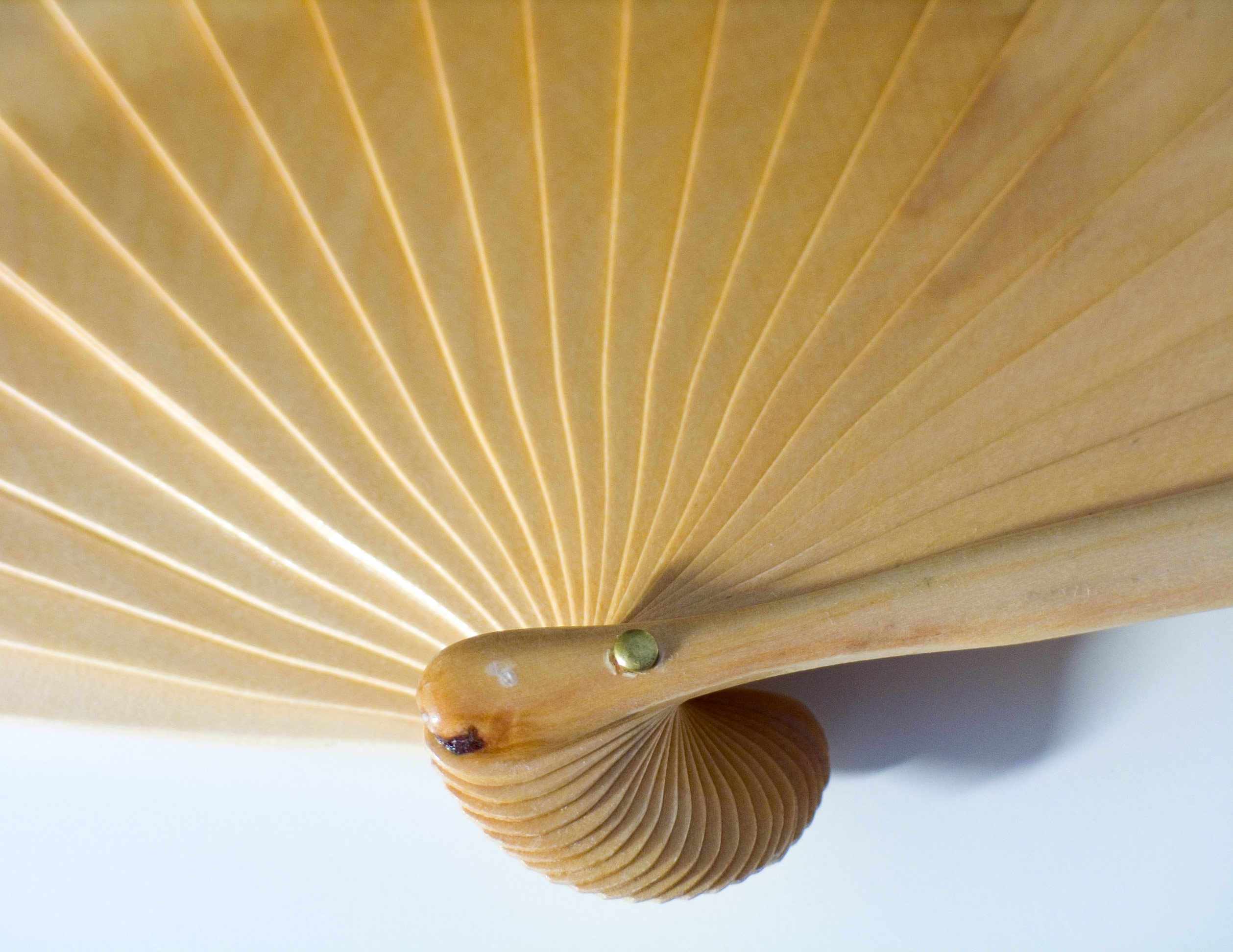 Fans - Accordion and Flat fans keep everyone cool